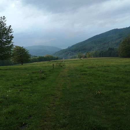 Domek W Gorach Sowich Pieszyce Exterior foto