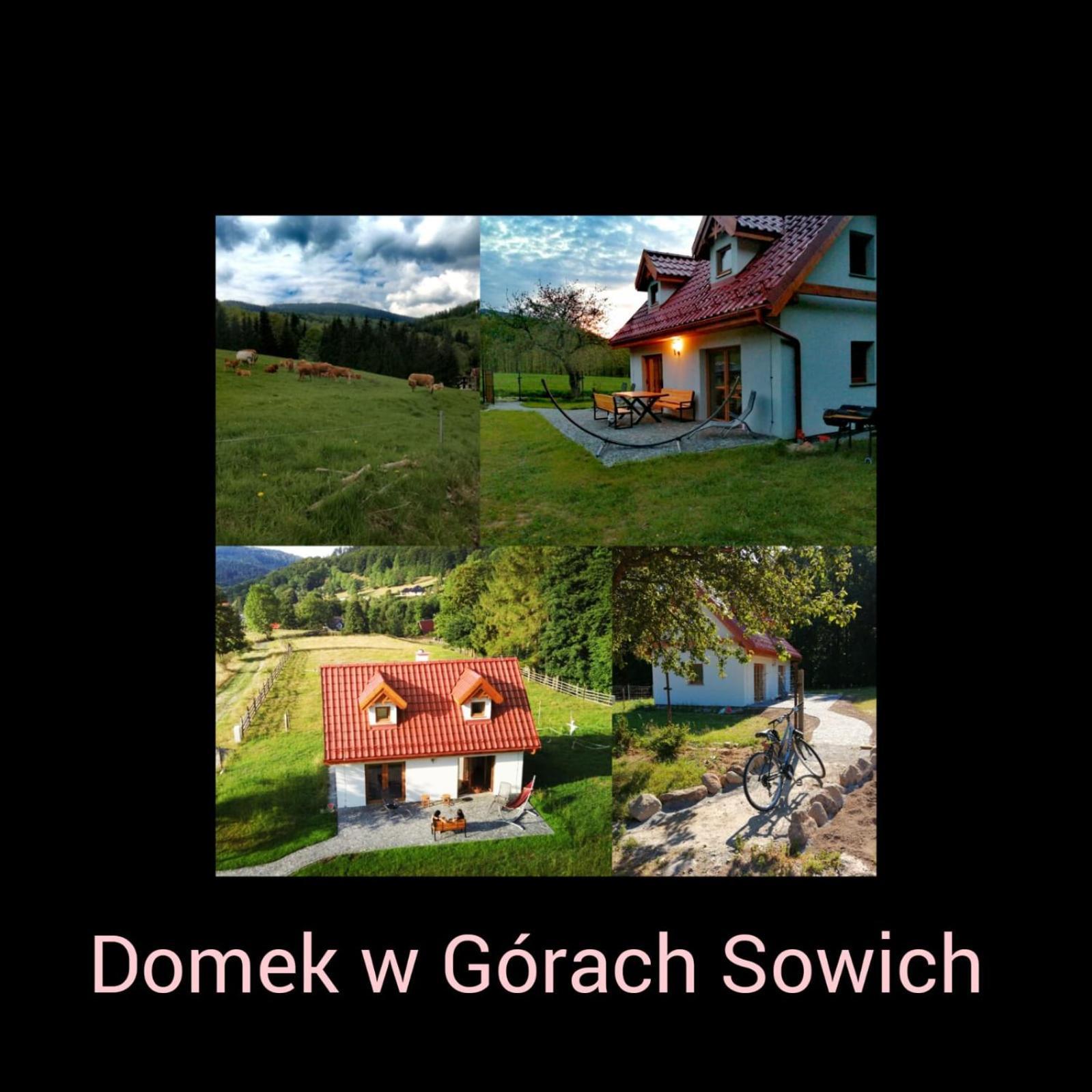 Domek W Gorach Sowich Pieszyce Exterior foto